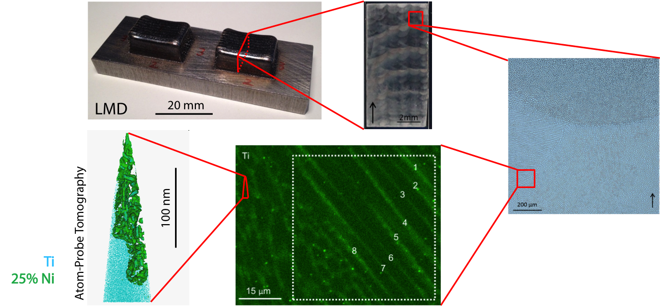 Microstructural hierarchy of a LAM-produced maraging steel, showing the layer-wise build-up of the sample, the cellular solidification structure together with the corresponding microsegregation, and finally, nano-sized intermetallic precipitates which give the material its strength.