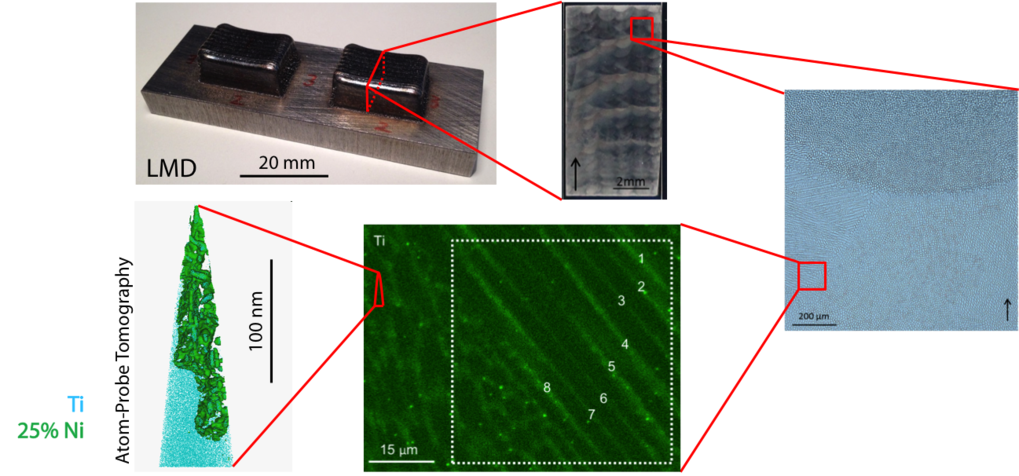 Microstructural hierarchy of a LAM-produced maraging steel, showing the layer-wise build-up of the sample, the cellular solidification structure together with the corresponding microsegregation, and finally, nano-sized intermetallic precipitates which give the material its strength.