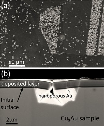 Fig.2: Scanning electron micrographs of a dealloyed Cu3Au polycrystalline sample. (a) Plane view showing grains with different crack densities. (b) Cross-section showing one specific crack that extends into the nanoporous material. Fig.2: Scanning electron micrographs of a dealloyed Cu3Au polycrystalline sample. (a) Plane view showing grains with different crack densities. (b) Cross-section showing one specific crack that extends into the nanoporous material.