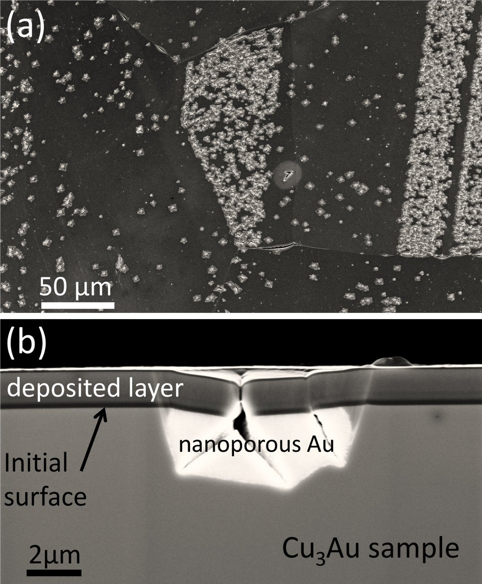 Fig.2: Scanning electron micrographs of a dealloyed Cu3Au polycrystalline sample. (a) Plane view showing grains with different crack densities. (b) Cross-section showing one specific crack that extends into the nanoporous material.