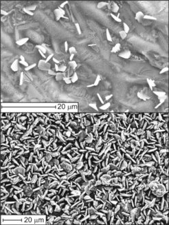 Fig.1: Two different stages of the phosphating process of AS steel.