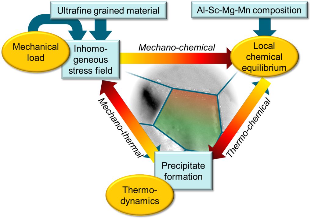 Studied thermo-chemical and thermo-mechanical coupling during the precipitate formation in Al-Sc-Mg alloys.