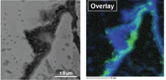 Layered structure of a grain boundary oxide: EDX elemental maps of a FIB-prepared cross-sectional TEM lamella of ternary Fe−3Al−0.8Cr model alloy annealed at 700 °C, in 2/2.5%H2/9000 ppm H2O, for 2 hours (green Cr, purple Al). Layered structure of a grain boundary oxide: EDX elemental maps of a FIB-prepared cross-sectional TEM lamella of ternary Fe−3Al−0.8Cr model alloy annealed at 700 °C, in 2/2.5%H2/9000 ppm H2O, for 2 hours (green Cr, purple Al).