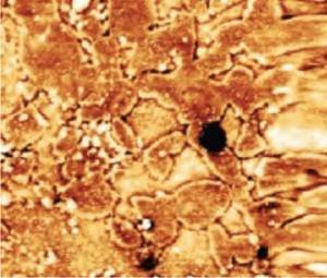 Detecting hydrogen on a 50×50 µm² surface area of a H charged austenitic steel after evaporation of a 100 nm Pd film. Potential map of this area obtained after 28 h in the Kelvin probe mode. The dark spots indicate sites with especially high hydrogen concentrations (traps). Detecting hydrogen on a 50×50 µm² surface area of a H charged austenitic steel after evaporation of a 100 nm Pd film. Potential map of this area obtained after 28 h in the Kelvin probe mode. The dark spots indicate sites with especially high hydrogen concentrations (traps).