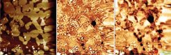 Fig.1: Detecting hydrogen on a 50×50 µm² surface area of a H charged austenitic steel after evaporation of a 100 nm Pd film. a) A topographic image obtained by AFM indicates austenitic (due to surface preparation topographically higher) and ferritic (lower, i.e., darker) regions. b) and c) Potential maps of this area obtained after 28 h and 44 h in the Kelvin probe mode. Above the austenites the potential decreases faster than above the ferrites due to the larger amount of stored hydrogen. The dark spots in b)-c) indicate sites with especially high hydrogen concentrations (traps).