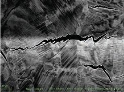 Fig. 3: ECCI micrograph for the crack propagation in Fe–18Mn–1.2C austenitic steel. The cracks initiate at a grain boundary, where deformation twins are intercepting. The crack propagation afterwards continues along the deformation twins.