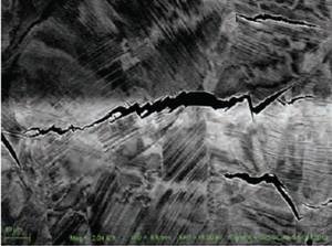 Fig. 3: ECCI micrograph for the crack propagation in Fe–18Mn–1.2C austenitic steel. The cracks initiate at a grain boundary, where deformation twins are intercepting. The crack propagation afterwards continues along the deformation twins. Fig. 3: ECCI micrograph for the crack propagation in Fe–18Mn–1.2C austenitic steel. The cracks initiate at a grain boundary, where deformation twins are intercepting. The crack propagation afterwards continues along the deformation twins.