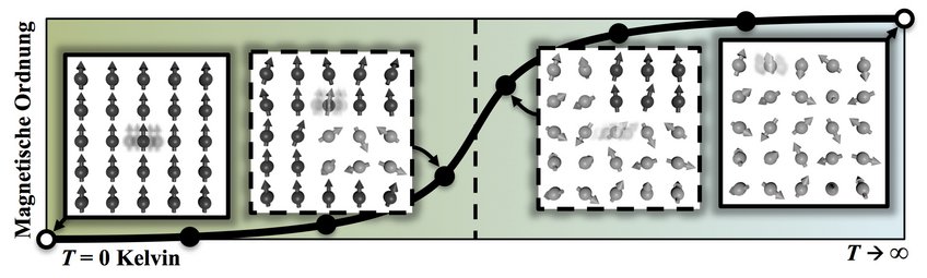 Atomare Schwingungen und magnetische Anregungen beeinflussen die Stabilität von Stählen bei hohen Temperaturen. Dabei kann man sich die Eisenatome (im Bild als Kugeln dargestellt) als kleine Magneten vorstellen, die bei zunehmender Temperatur ihre Ausrichtung umdrehen (graue Pfeile). Die neu entwickelte Methode erlaubt erstmals die Berechnung des gegenseitigen Einflusses von atomaren Schwingungen und magnetischen Anregungen über den kompletten Temperaturbereich zu berechnen. Atomare Schwingungen und magnetische Anregungen beeinflussen die Stabilität von Stählen bei hohen Temperaturen. Dabei kann man sich die Eisenatome (im Bild als Kugeln dargestellt) als kleine Magneten vorstellen, die bei zunehmender Temperatur ihre Ausrichtung umdrehen (graue Pfeile). Die neu entwickelte Methode erlaubt erstmals die Berechnung des gegenseitigen Einflusses von atomaren Schwingungen und magnetischen Anregungen über den kompletten Temperaturbereich zu berechnen.