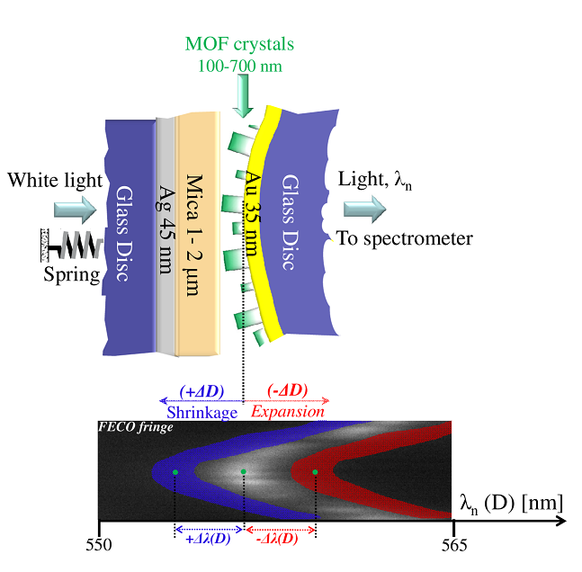 Real-time measurement of the mechanical response of Metal Organic Frameworks (MOFs) upon guest molecule adsorption