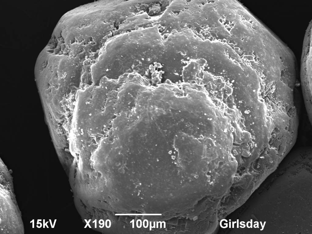 Rasterelektronenmikroskopaufnahme eines Salzkristalls Rasterelektronenmikroskopaufnahme eines Salzkristalls