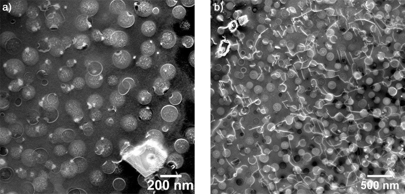 Fig 1: Annular dark-field scanning transmission electron microscopy (STEM) images of a) the alloy in the as-heat-treated stage and b) after tensile creep deformation at 700 ºC and 107 MPa.