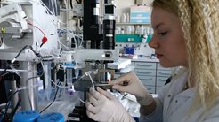 Dr. Olga Kasian von der Ukraine State University of Chemical Technology forscht nun Dank eines Stipendiums der Alexander-von-Humboldt Stiftung in der Elektrolyse-Gruppe des Max-Planck-Instituts für Eisenforschung.