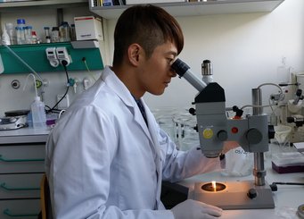 Dr. Chang Hyuck Choi vom Korean Advanced Institute of Science and Technology wurde mit einem Stipendium der Alexander-von-Humboldt Stiftung ausgezeichnet und forscht nun an edelmetallfreien Katalysatoren für Brennstoffzellen am MPIE. Dr. Chang Hyuck Choi vom Korean Advanced Institute of Science and Technology wurde mit einem Stipendium der Alexander-von-Humboldt Stiftung ausgezeichnet und forscht nun an edelmetallfreien Katalysatoren für Brennstoffzellen am MPIE.