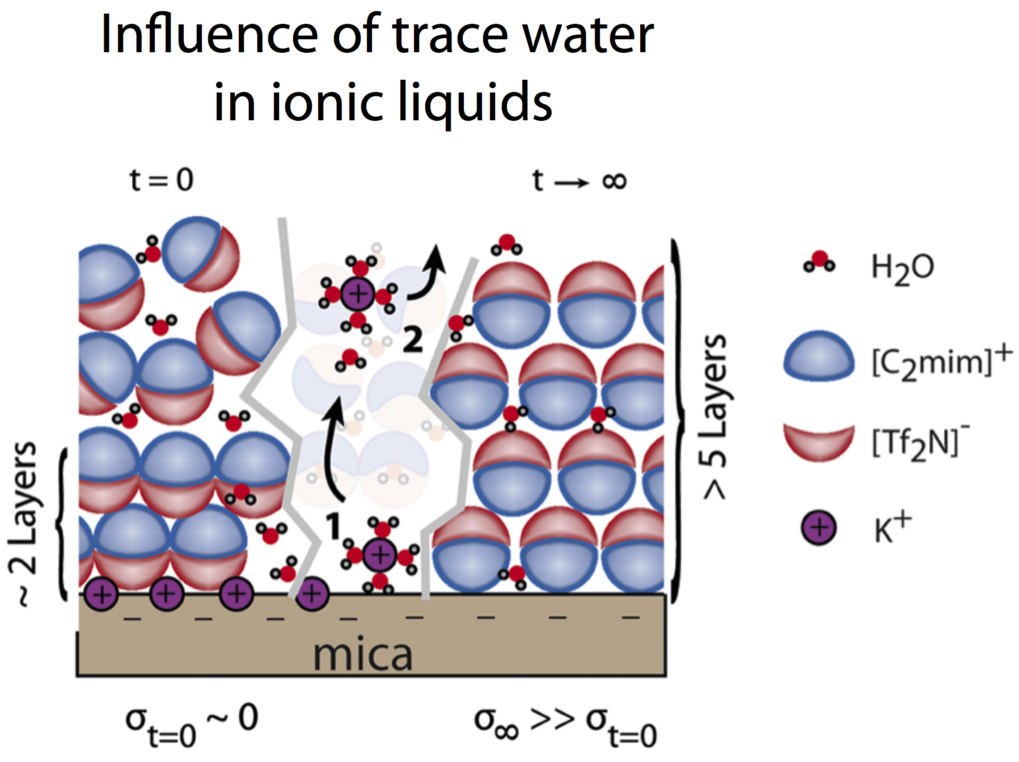 How water influences structuring of ionic luiquids at electrified solid/liquid interfaces