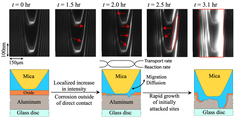 Consecutive 2D FECO images obtained as a function of time after injection of 5 mM NaCl into a confined aluminum/mica contact. The schematics below show progress of the corrosive reaction as deduced from the FECO images. As indicated in the schematic shown in (c) a subtle balance between material transport rates (diffusion and migration) as well as reaction rates may control the locations where rapid Crevice Corrosion initiation is most likely.