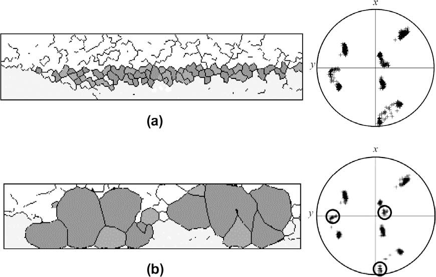 Figure 38: Results of Bate from a network annealing model with the initial representation of microstructure derived from a CPFE simulation [155]. The initial number of crystallites was 900. Only grain boundaries with misorientations greater than 3° are shown. Darker grains are near the cube orientation. The configuration at 400 remaining crystallites is shown in (b). The resulting grain orientations are given in the {001} pole figure [155].