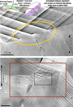 Figure 43: Microcracks arising from twin interactions with a grain boundary in TiAl. Ellipses represent tilted unit circles on slip planes identi ed by poles, with slip or twinning vectors as indicated, with shaded half below the surface. Schmid factors are based upon the global (vertical) stress direction. The surrounding microstructure was modeled using CPFE.