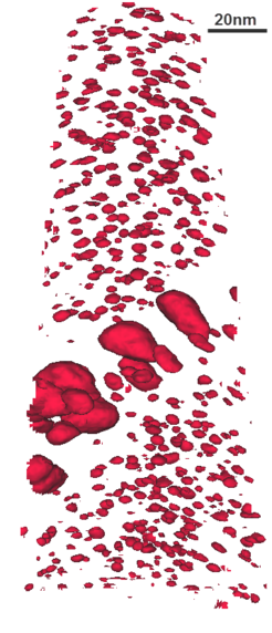 Atom probe tomographic dataset showing nanometre-sized Al3Sc-precipitates and slightly larger precipitates on a grain boundary in an Al-Mg-Sc-alloy produced by SLM.