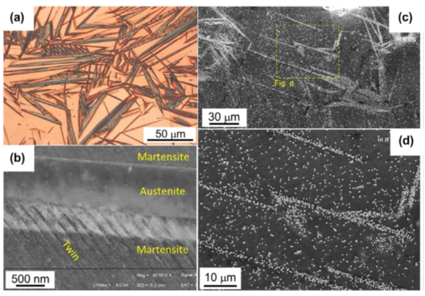 Figure 1: Non-deformed steel microstructure and corresponding hydrogen distribution. (a) Optical micrograph. (b) ECC image showing twins in martensite. SEM images showing silver particles  (white) at (c) low and (d) high magnifications