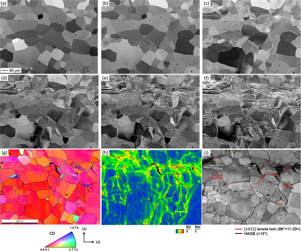 Electron Chaneling Contrast images of the microstructure development of pure Mg during compression. (a) Microstructure at the initial state without deformation, (b–f) microstructure after the first to the fifth compression step; (g) IPF map, (h) KAM map, (i) IQ map with highlighted grain and twin boundaries of pure Mg after the fifth compression step. Each compression step corresponds to about 1% engineering strain.