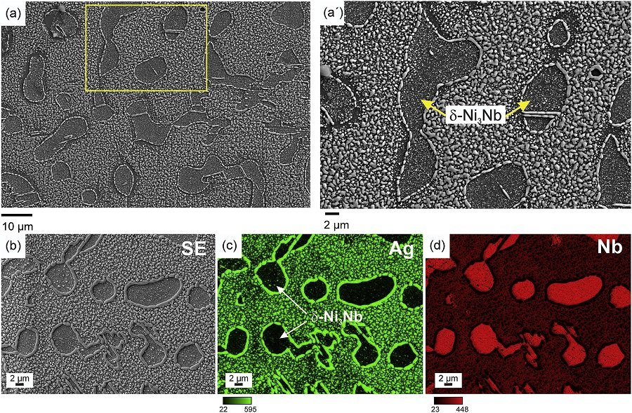 Specimen charged with hydrogen: (a) and (a0) SE images of the silver decorated surface, showing reduced Ag particles on the gamma-matrix. (b) SE image, (c) and (d) the corresponding EDX maps of the Ag decorated surface, confirming the precipitation of the Ag particles on the gamma-matrix, indicating the locations of the evading hydrogen flux. Each EDX map is color coded by the count frequency of the X-ray signal received by the EDX detector. Specimen charged with hydrogen: (a) and (a0) SE images of the silver decorated surface, showing reduced Ag particles on the gamma-matrix. (b) SE image, (c) and (d) the corresponding EDX maps of the Ag decorated surface, confirming the precipitation of the Ag particles on the gamma-matrix, indicating the locations of the evading hydrogen flux. Each EDX map is color coded by the count frequency of the X-ray signal received by the EDX detector.