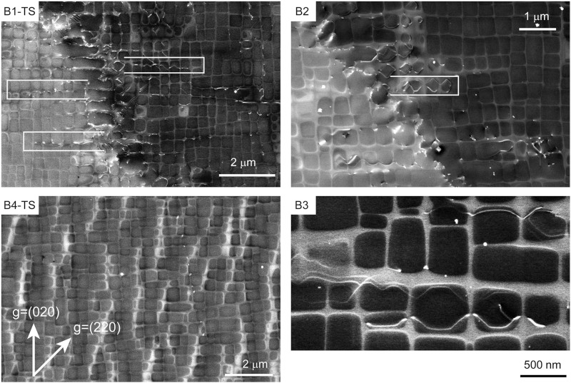 cECCI micrographs of the dislocation structure