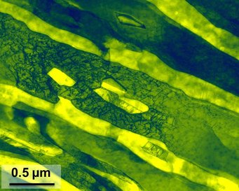 Transmissionselektronenmikroskop-Bild eines Stahls nach Wärmebehandlung. Die Max-Planck-Wissenschaftler untersuchen Materialien bis aus ihre atomare Ebene, um Zusammenhänge zwischen deren Struktur und Eigenschaften zu ziehen. Transmissionselektronenmikroskop-Bild eines Stahls nach Wärmebehandlung. Die Max-Planck-Wissenschaftler untersuchen Materialien bis aus ihre atomare Ebene, um Zusammenhänge zwischen deren Struktur und Eigenschaften zu ziehen.