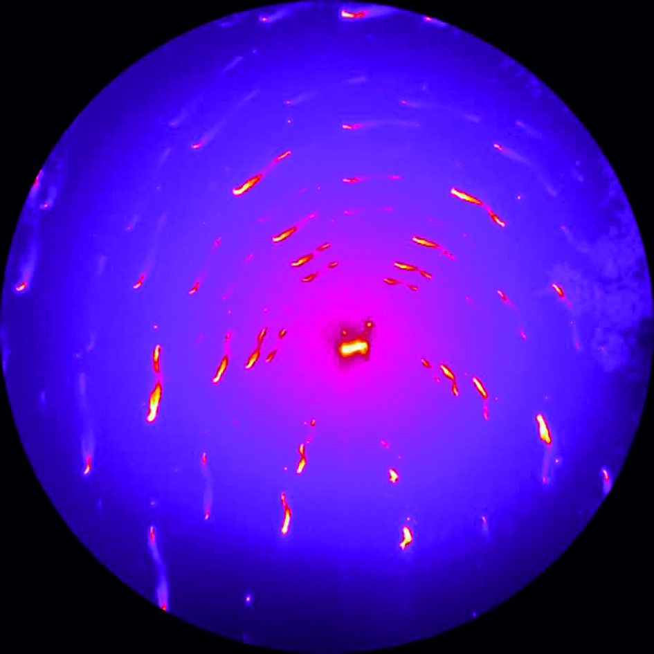 © Christoph Kirchlechner, Max-Planck-Institut für Eisenforschung GmbH