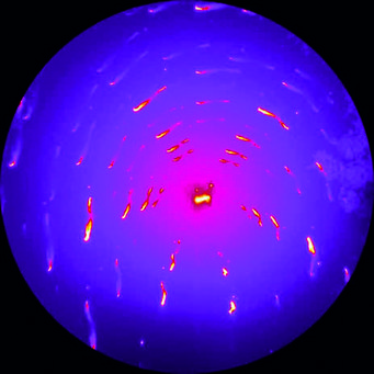 © Christoph Kirchlechner, Max-Planck-Institut für Eisenforschung GmbH