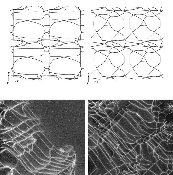 Predicted creep microstructure of a single-crystal Ni base superalloy deformed to a creep strain of 0.5% at 150 MPa along the x=[100] direction viewed from the y and z directions. Similar microstructures observed by multibeam DF-STEM diffraction contrast characterization.