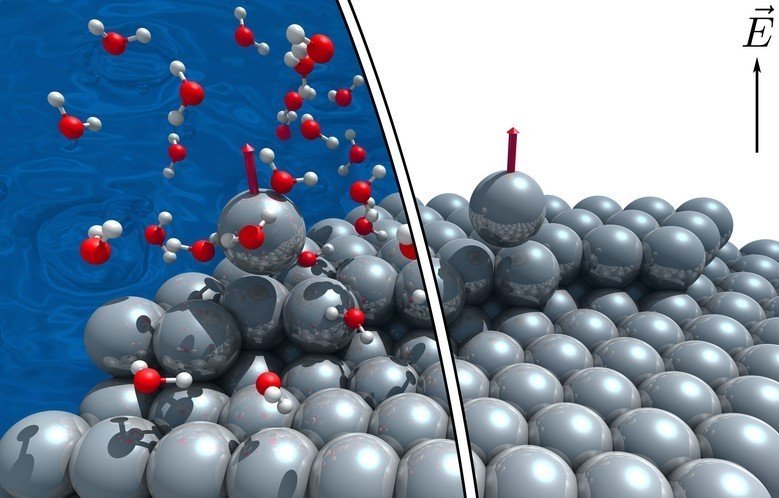 High electric fields in electrochemistry and in atom probe tomography