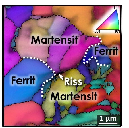 Riss nach 2 % Verformung entlang einer ehemaligen Austenitkorngrenze. An dieser Korngrenze sind Anreicherungen nachweisbar, die hauptsächlich durch das Wachstum der Ferritkörner verursacht worden sind Riss nach 2 % Verformung entlang einer ehemaligen Austenitkorngrenze. An dieser Korngrenze sind Anreicherungen nachweisbar, die hauptsächlich durch das Wachstum der Ferritkörner verursacht worden sind