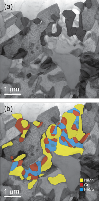 STEM and EDX analysis of a FIB lamella extracted from the CrMnFeCoNi alloy after a 500°C anneal for 500 days. (a) STEM BF contrast reveals the presence of several secondary precipitates on a grain boundary of the CrMnFeCoNi matrix. (b) EDX maps superimposed on the image in (a) show that the precipitates have three distinct chemical compositions.
STEM and EDX analysis of a FIB lamella extracted from the CrMnFeCoNi alloy after a 500°C anneal for 500 days. (a) STEM BF contrast reveals the presence of several secondary precipitates on a grain boundary of the CrMnFeCoNi matrix. (b) EDX maps superimposed on the image in (a) show that the precipitates have three distinct chemical compositions.