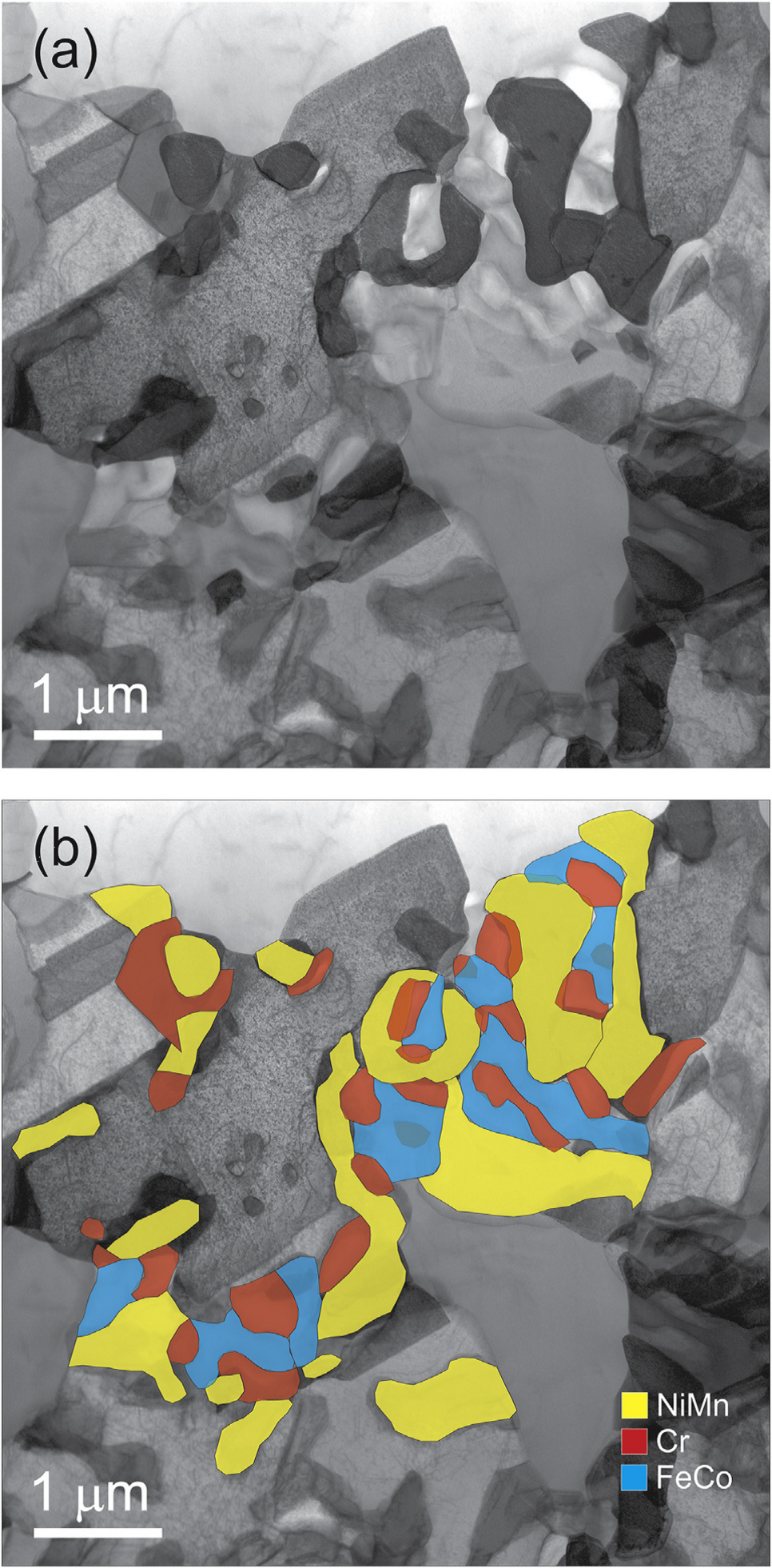 STEM and EDX analysis of a FIB lamella extracted from the CrMnFeCoNi alloy after a 500°C anneal for 500 days. (a) STEM BF contrast reveals the presence of several secondary precipitates on a grain boundary of the CrMnFeCoNi matrix. (b) EDX maps superimposed on the image in (a) show that the precipitates have three distinct chemical compositions.