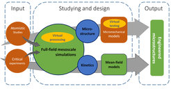 Schema of the work procedure.