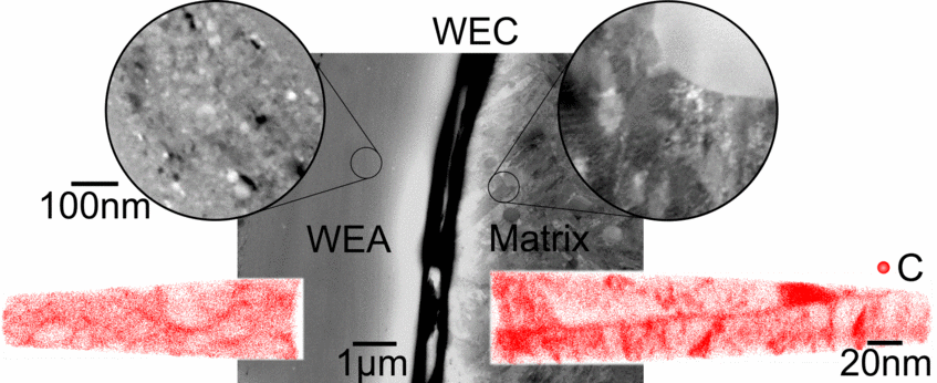Fig.: Multi-scale ECCI+APT characterization of WECs in 100Cr6 bearing steel. Fig.: Multi-scale ECCI+APT characterization of WECs in 100Cr6 bearing steel.