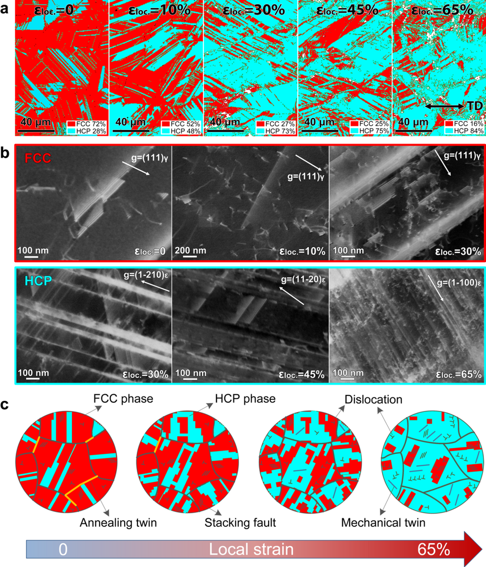 Deformation micro-mechanisms in the TRIP-DP-HEA with increasing tensile deformation at room temperature. (a) EBSD phase maps revealing the deformation-induced martensitic transformation as a function of deformation. (b) ECCI analyses showing the evolution of defect substructures in the FCC and HCP phases. (c) Schematic sketches illustrating the sequence of micro-processes in the TRIP-DP-HEA.