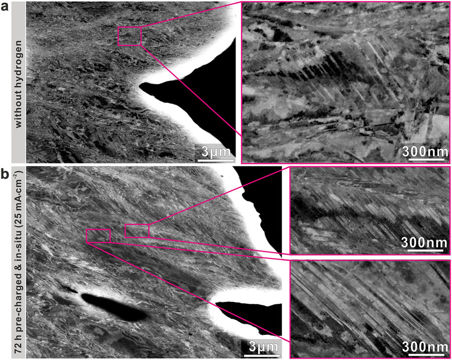 Deformation microstructures near the fracture surfaces of CoCrFeMnNi HEA samples without and with hydrogen. (a) A few deformation induced nanotwins formed in the fractured sample without hydrogen. (b) High density of nanotwins in the fractured sample pre-charged for 72 h at 25 mA·cm-2.
