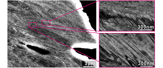 Hydrogen embrittlement behavior of high-entropy alloys