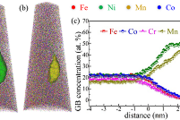 Segregations and complexions in high-entropy alloys