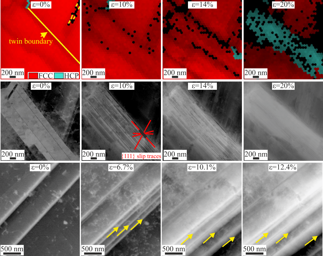 Interrupted in-situ EBSD and ECCI observations of phase transformation and nucleation-growth of mechanical twinning in the iHEA.