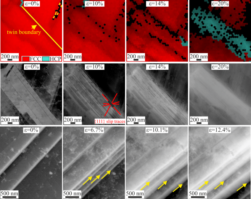Interrupted in-situ EBSD and ECCI observations of phase transformation and nucleation-growth of mechanical twinning in the iHEA. Interrupted in-situ EBSD and ECCI observations of phase transformation and nucleation-growth of mechanical twinning in the iHEA.