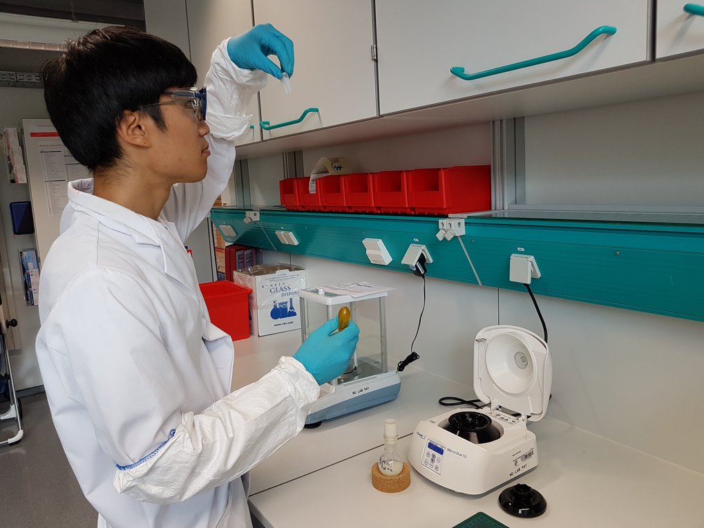 Dr. Joohyun Lim synthetisiert nanostrukturierte Materialien (im Bild ) und charakterisiert sie anschließend mittels Transmissionselektronenmikroskopie (unteres Bild), um so Werkstoffe zum Beispiel für Elektrokatalysatoren und Batterien zu entwickeln und effizienter zu machen. Dr. Joohyun Lim synthetisiert nanostrukturierte Materialien (im Bild ) und charakterisiert sie anschließend mittels Transmissionselektronenmikroskopie (unteres Bild), um so Werkstoffe zum Beispiel für Elektrokatalysatoren und Batterien zu entwickeln und effizienter zu machen.