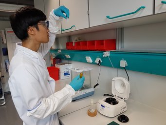 Dr. Joohyun Lim synthetisiert nanostrukturierte Materialien (im Bild ) und charakterisiert sie anschließend mittels Transmissionselektronenmikroskopie (unteres Bild), um so Werkstoffe zum Beispiel für Elektrokatalysatoren und Batterien zu entwickeln und effizienter zu machen. Dr. Joohyun Lim synthetisiert nanostrukturierte Materialien (im Bild ) und charakterisiert sie anschließend mittels Transmissionselektronenmikroskopie (unteres Bild), um so Werkstoffe zum Beispiel für Elektrokatalysatoren und Batterien zu entwickeln und effizienter zu machen.