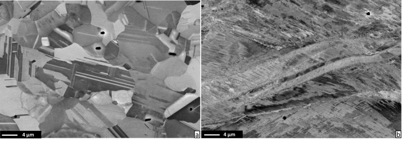 Figure 2 Microstructures of (a) interstitial-free and (b) C alloyed CoCrNi MEA after cold rolling and subsequent annealing at 800 °C for 10 min.