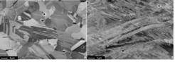 Figure 2 Microstructures of (a) interstitial-free and (b) C alloyed CoCrNi MEA after cold rolling and subsequent annealing at 800 °C for 10 min.