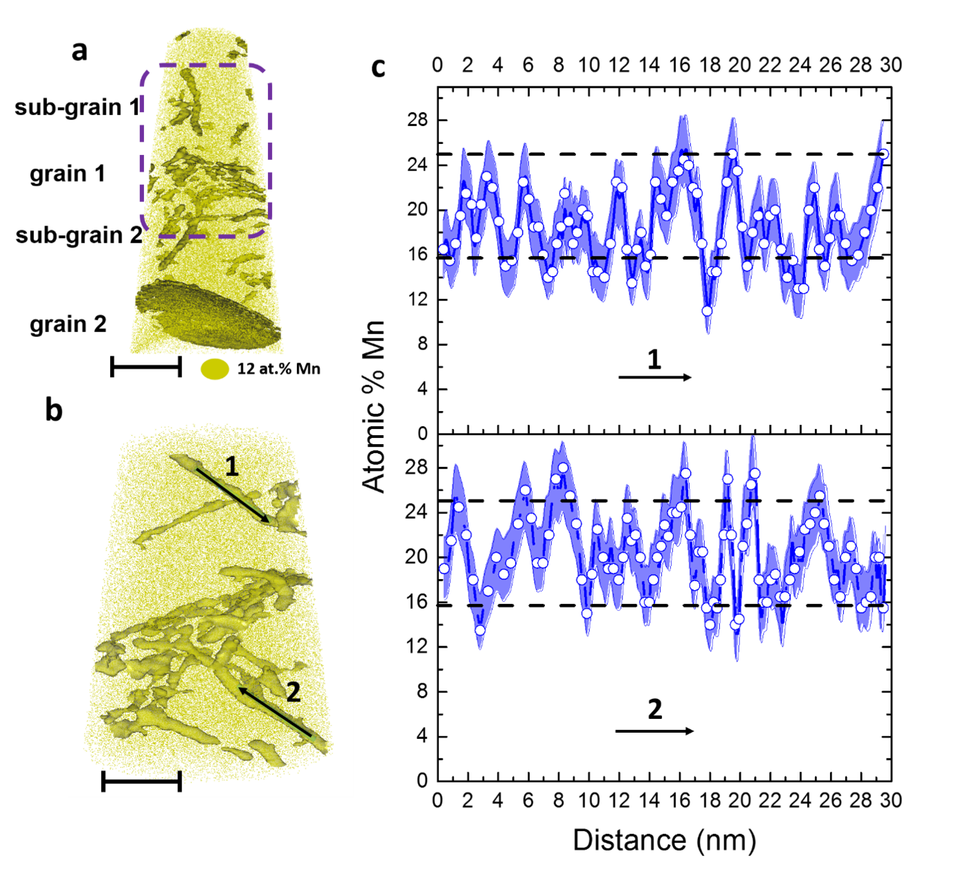 Atom probe tomography analysis of dislocations decorated with Mn after 6h at 450°C. (a) 12.5 at.%Mn iso-concentration surfaces (12.5 at. % Mn threshold) showing two grain boundaries and numerous dislocations decorated by Mn. Scale bar, 40 nm. (b) Close-up on the middle section of the dataset indicated by the purple dashed line showing decorated dislocations. Scale bar, 30 nm (c) 1D composition profiles along the two dislocations marked by the arrows in (b). The points are the experimental values that are connected by the blue lines for better visualization. The blue shading represents the statistical error associated with the calculation of the composition. The dashed lines show the typical values of compositional fluctuation.