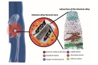 Atomic level insights of chemical and structural mechanisms of tribological failure in hip implants