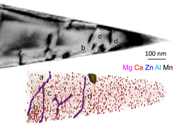 Fig. 1: A bright field TEM image and a 3D atom map obtained from Mg-1.2Al-0.8Zn-0.5Ca-0.4Mn sheet alloy after giving 2% tensile strain and artificial aging at 170oC only for 20 min. The formation of solute clusters and the segregation of the solute elements along the dislocation are readily visible.