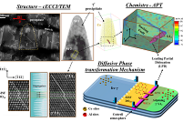 • Segregation effects on planar defects in crept Co-Al-W and Co-Ni-Al-W based superalloys